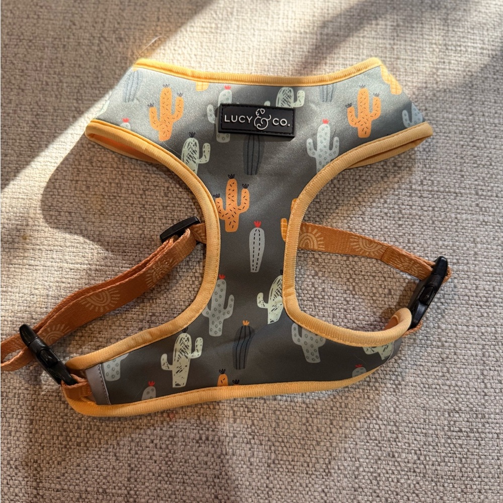 Lucy & Co. cactus harness.